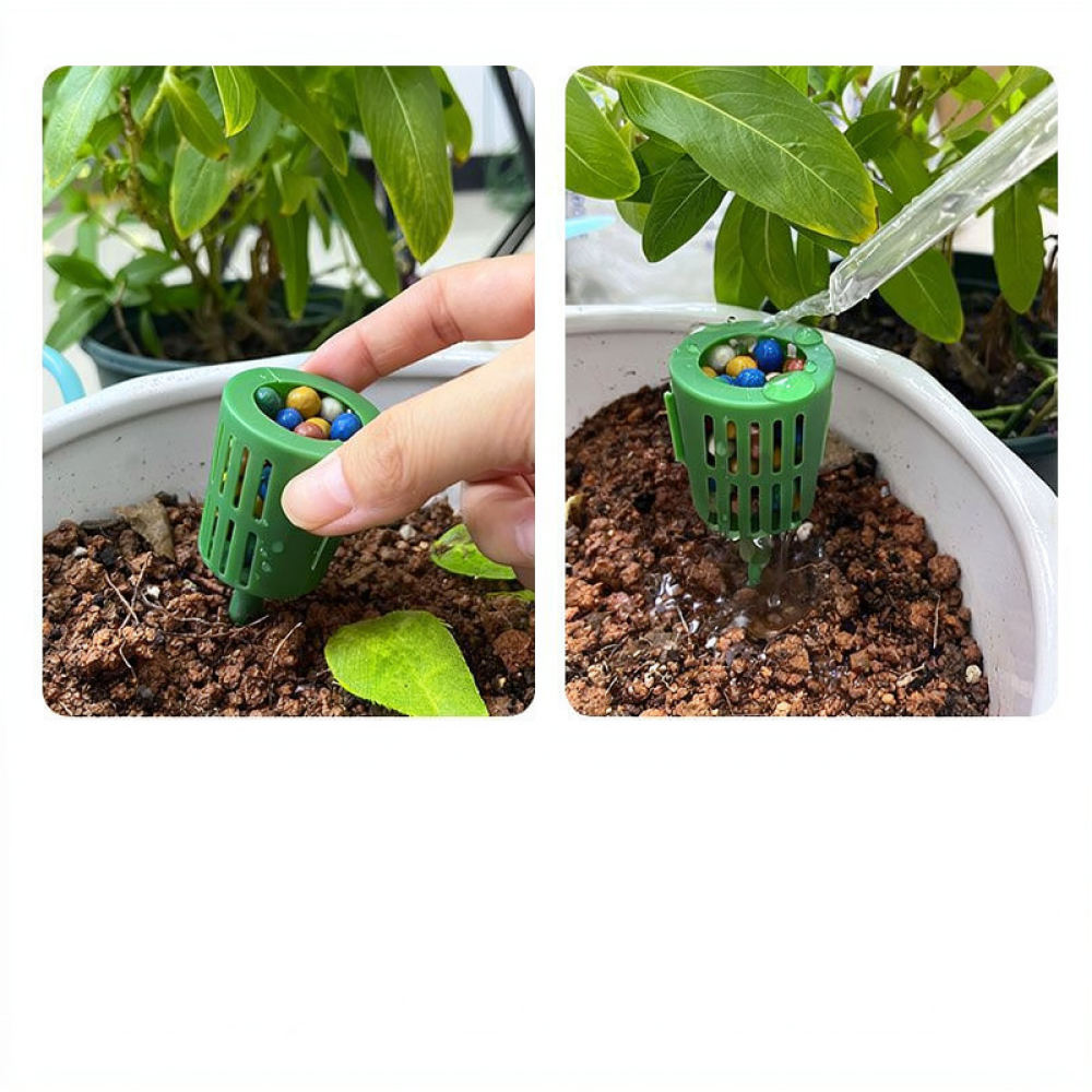 Fertilizer Box For Bonsai Plan - đánh giá và giá Gardening Tools Essential