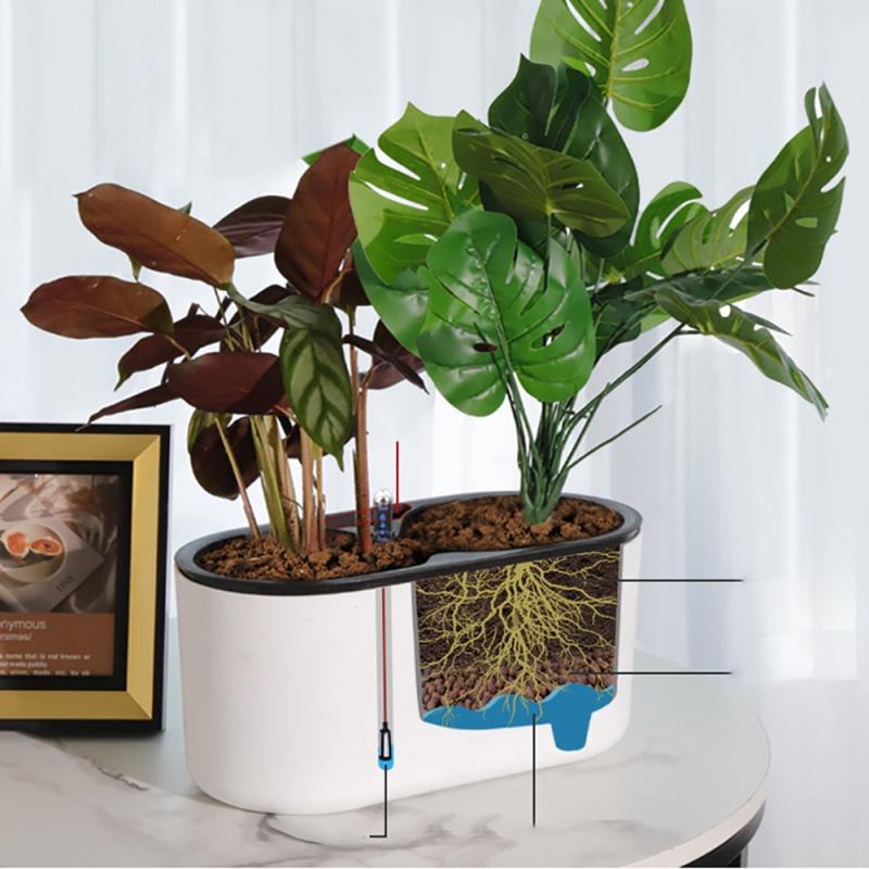 Trong Nhà Có Đèn Báo Chân Bằng - đánh giá và giá Automatic Plant Waterer