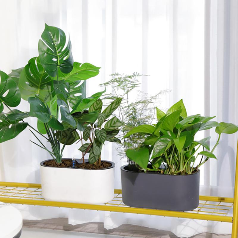 Trong Nhà Có Đèn Báo Chân Bằng - đánh giá và giá Automatic Plant Waterer