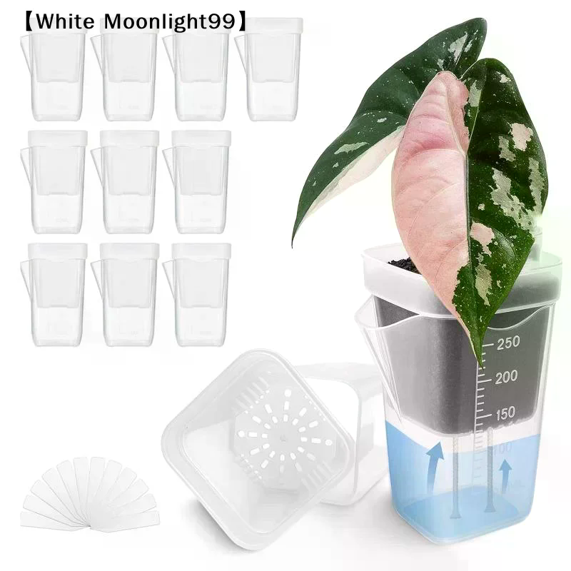 5Pcs Self Watering Plant Pots  - đánh giá và giá Self-Watering Planter